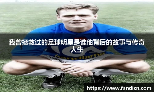 333体育平台